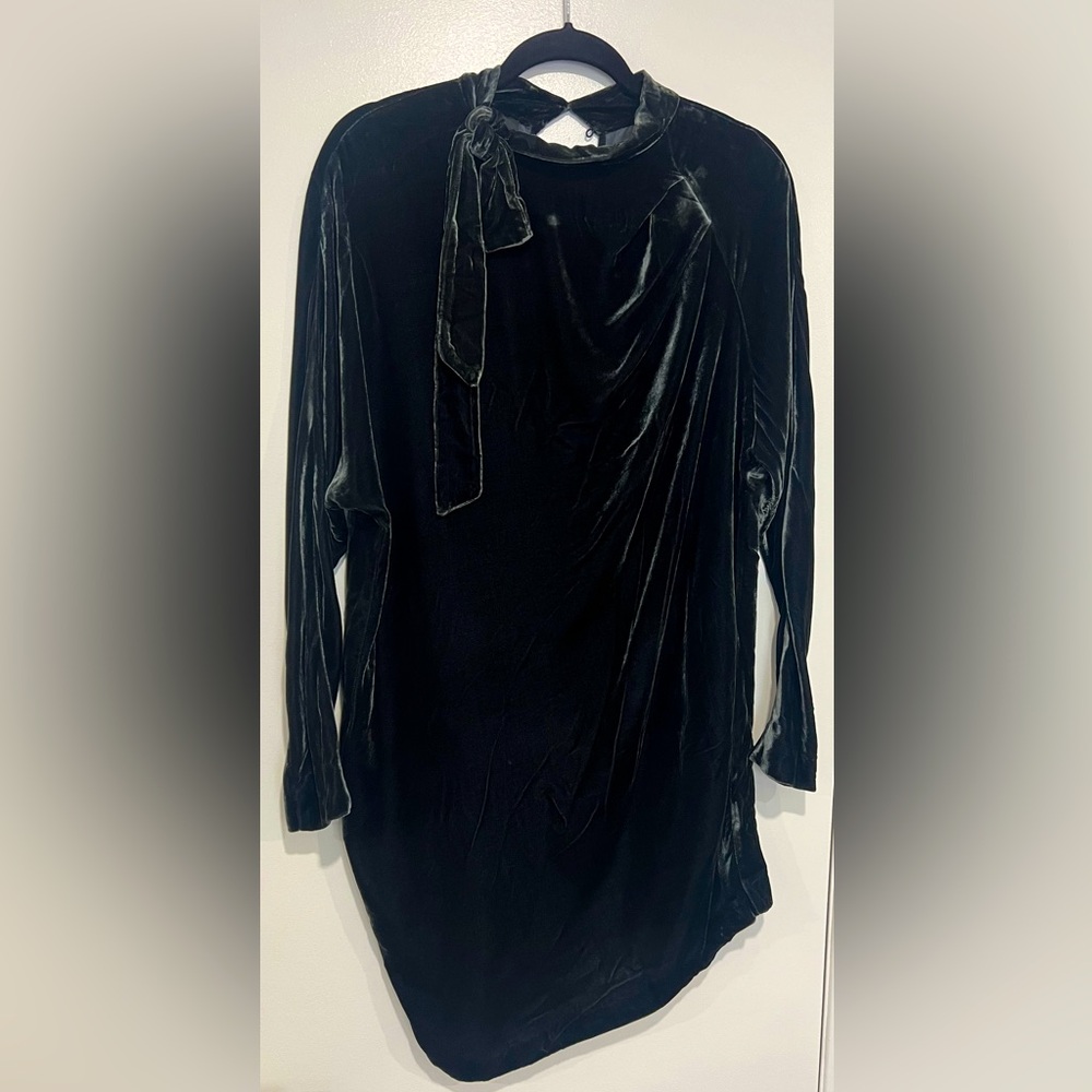 Pinko Velvet Dress